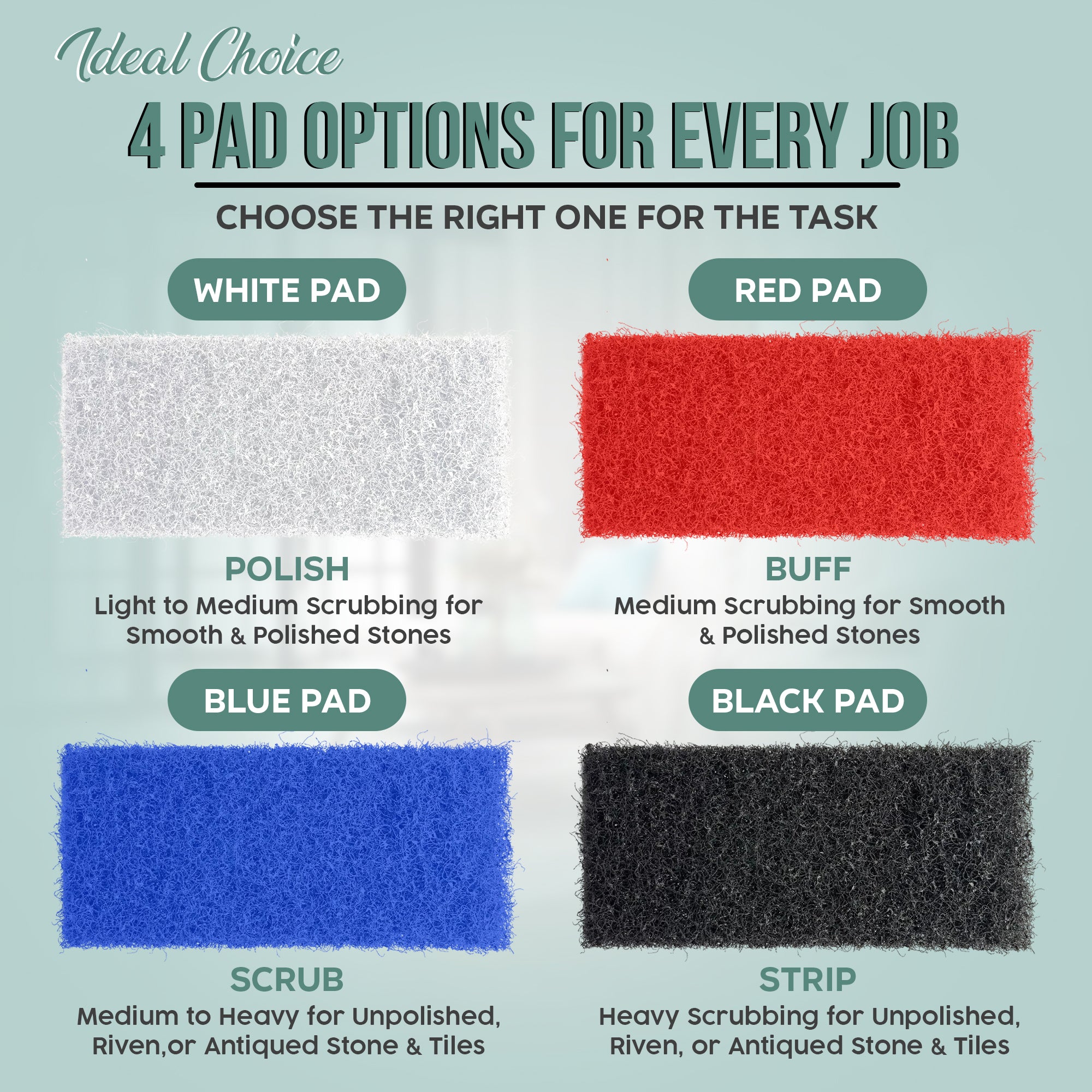 Interchange Edging Pad Holder Set 25cm with 4 x Edging pads