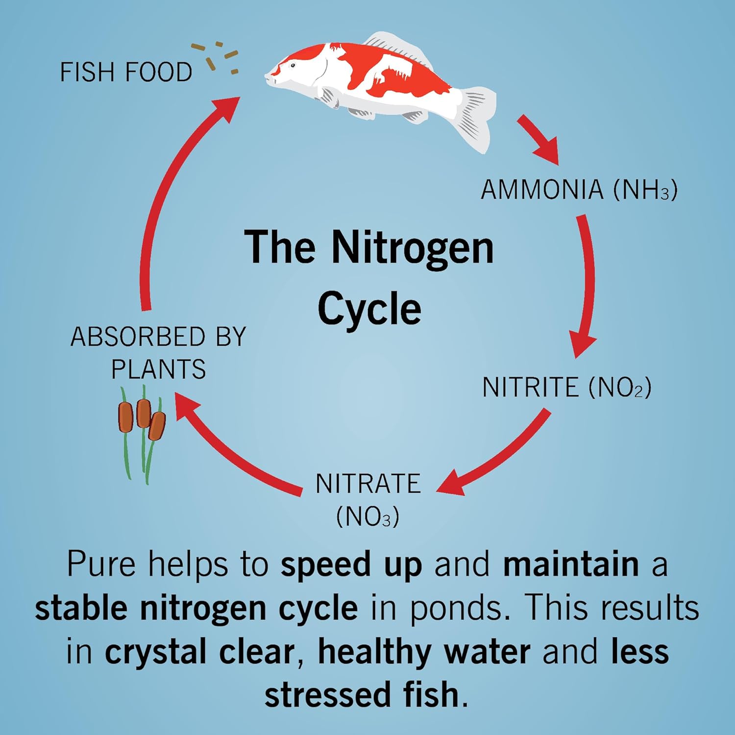 Evolution Aqua Pure Pond