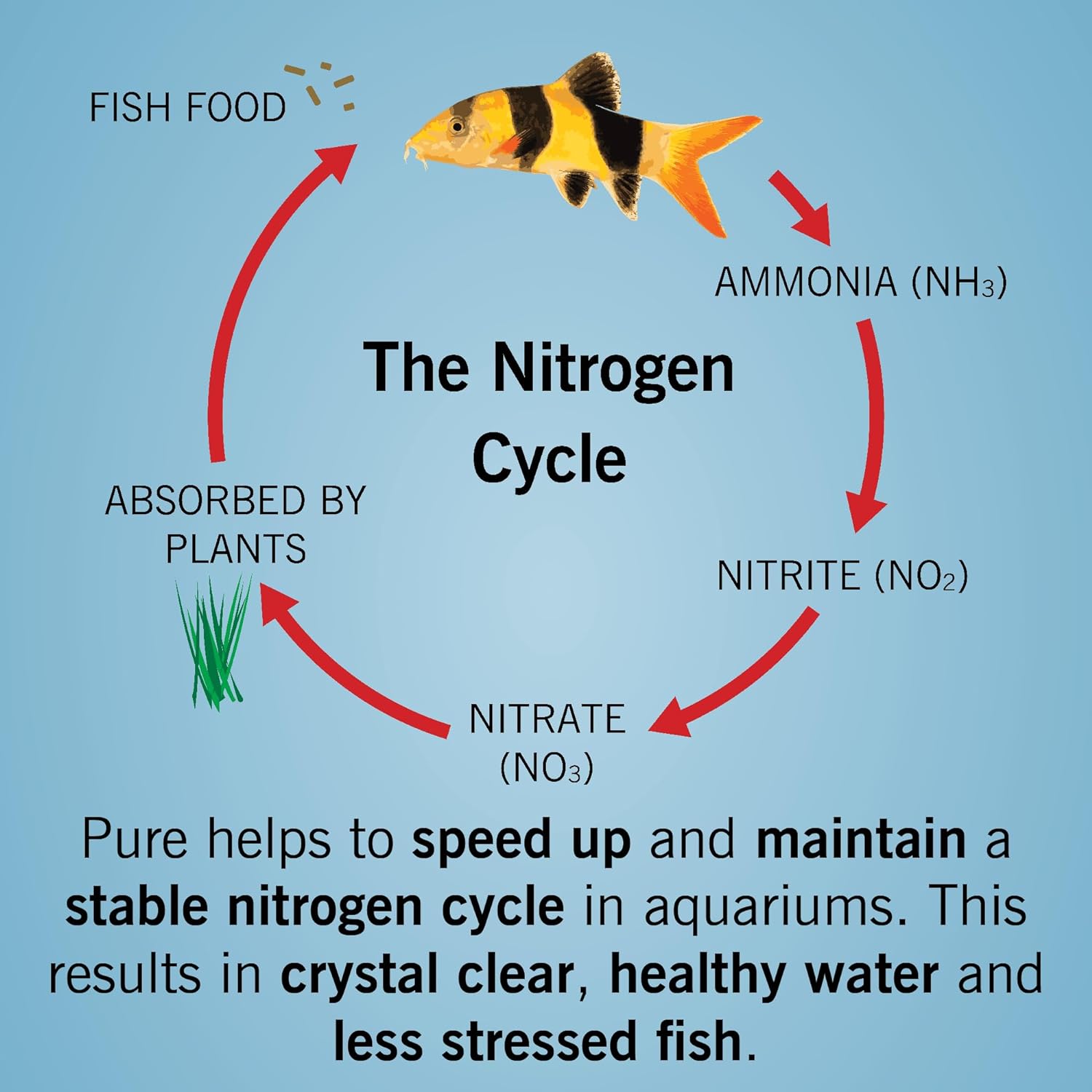 Evolution Aqua Pure Aquarium 50 balls