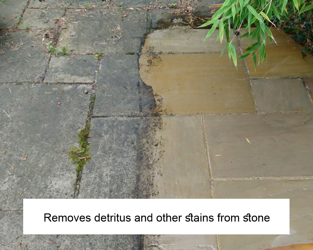 EcoProTec Black Spot and Algae Remover - 5ltr