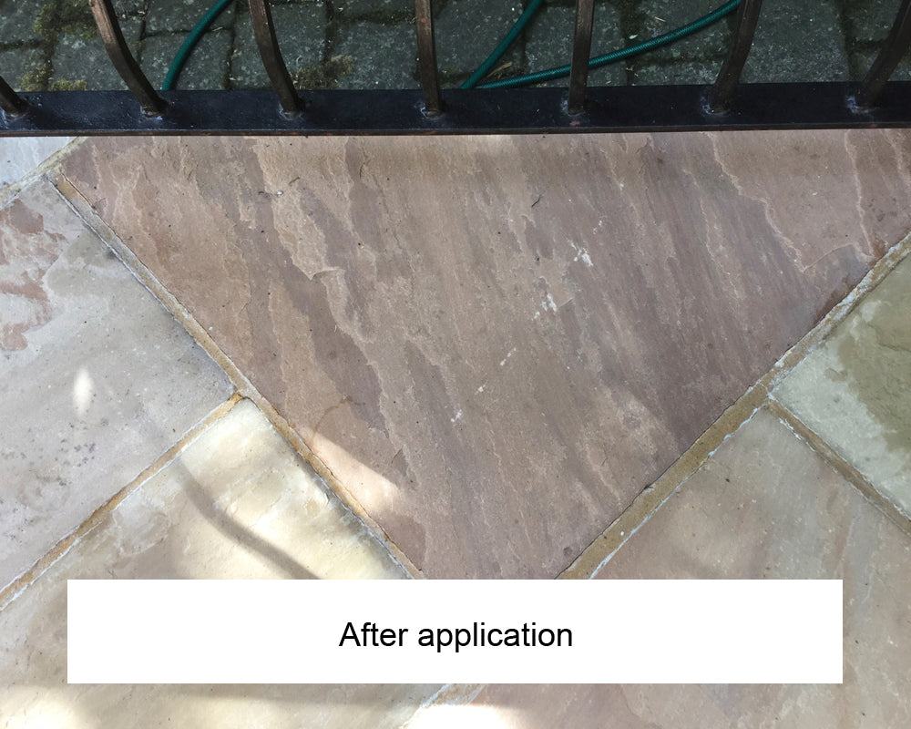 EcoProTec Black Spot and Algae Remover - 5ltr