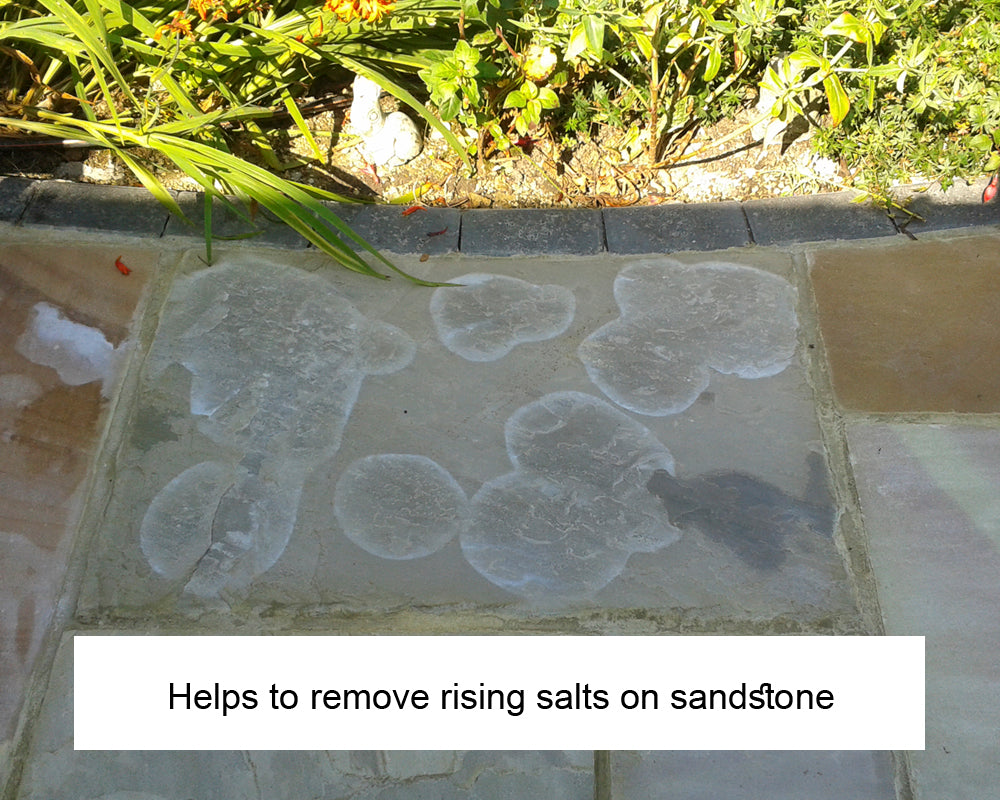 EcoProTec Patio Cement , Grout and Salt Residue Remover - 1 Ltr