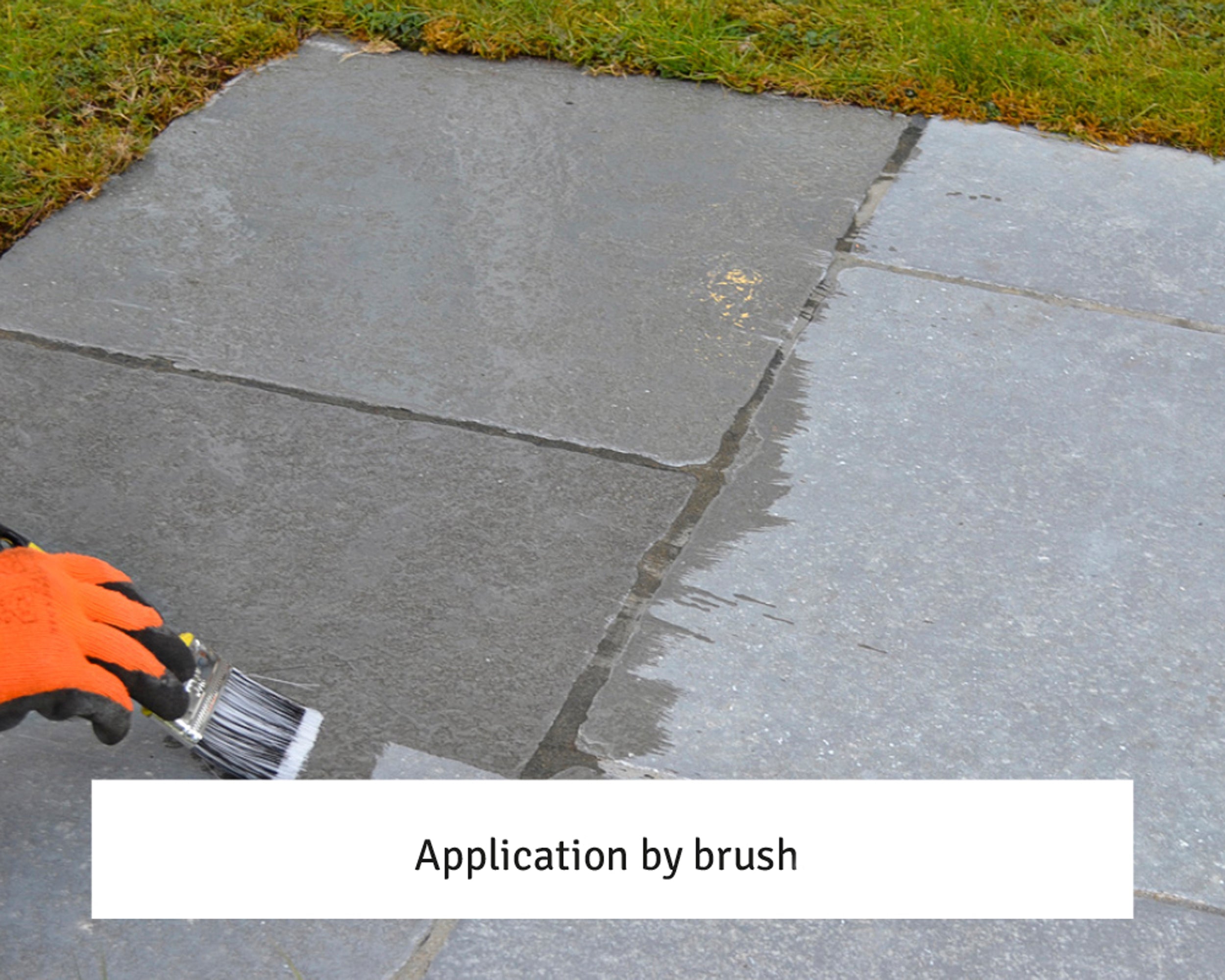 LTP Colour Intensifier and Stainblock H20