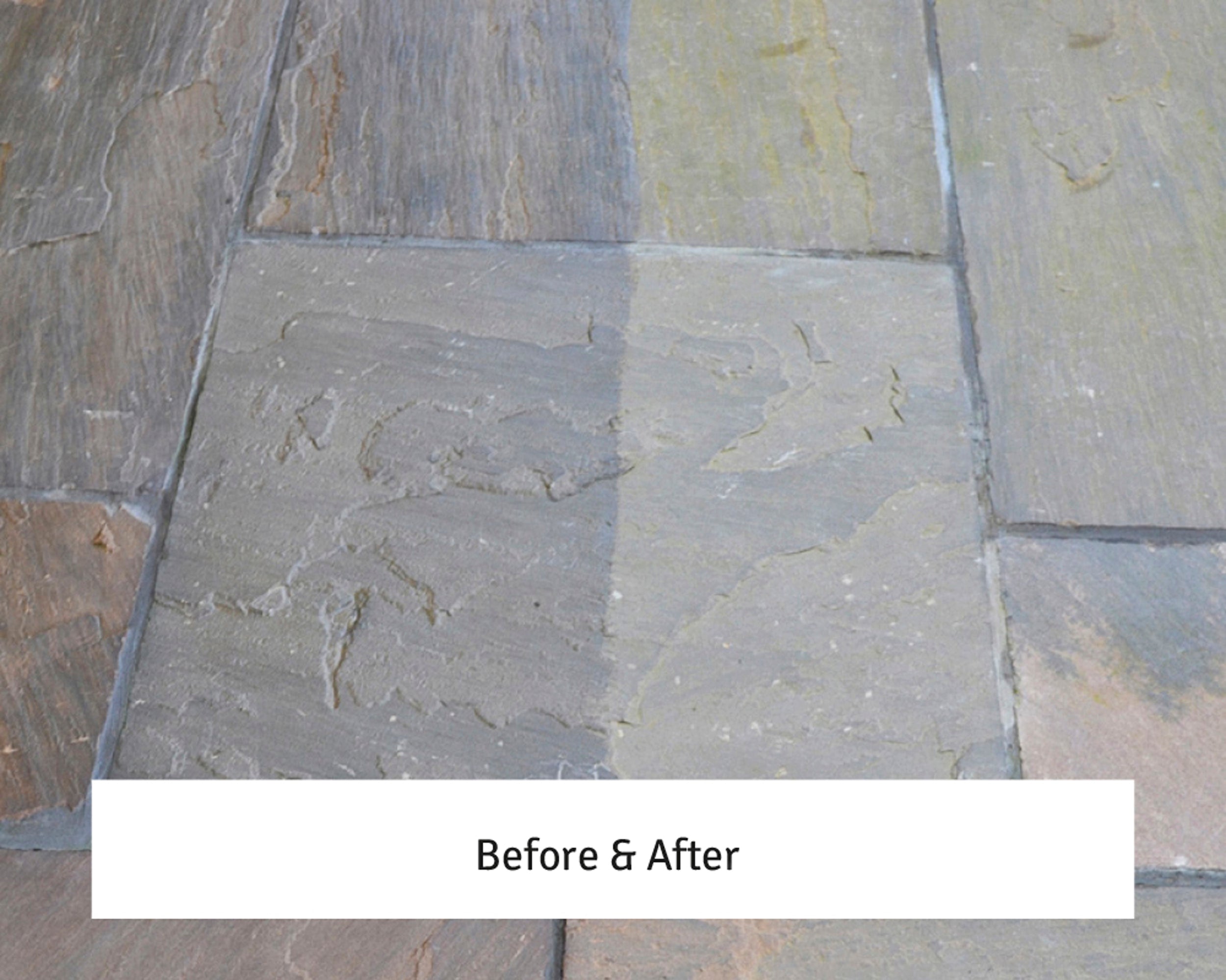 LTP Colour Intensifier and Stainblock H20