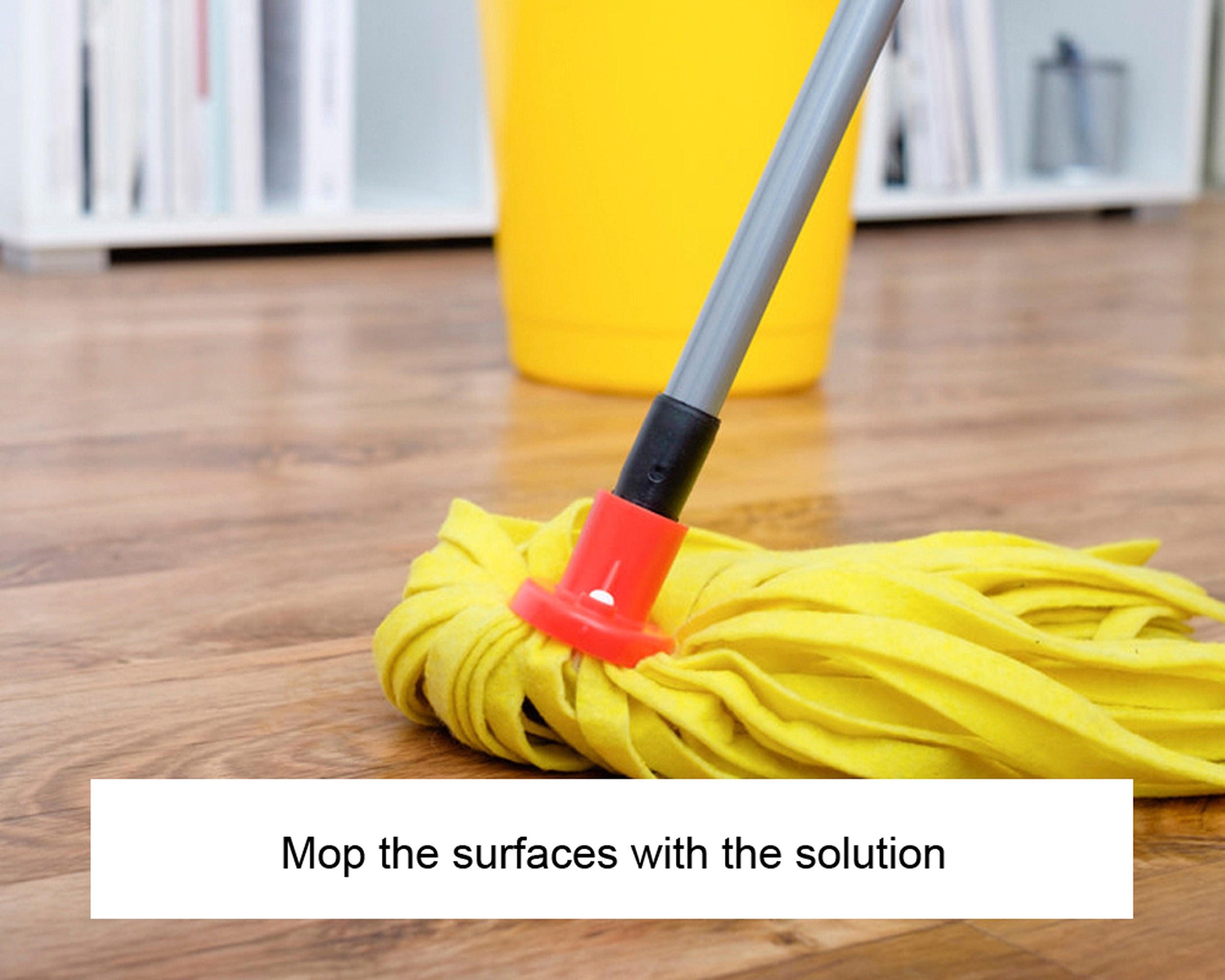 LTP Floorshine 1 LTR