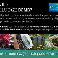 Evolution Aqua Pure Sludge Bomb