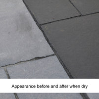 EcoProTec Blackstone Colour Restorer
