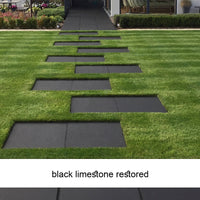 EcoProTec Blackstone Colour Restorer