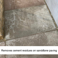 EcoProTec Patio Cement , Grout and Salt Residue Remover - 1 Ltr