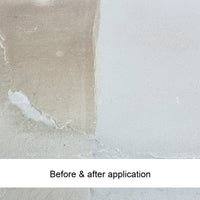 EcoProTec Iron Stain Away For Paving And Patios  - 1 Ltr