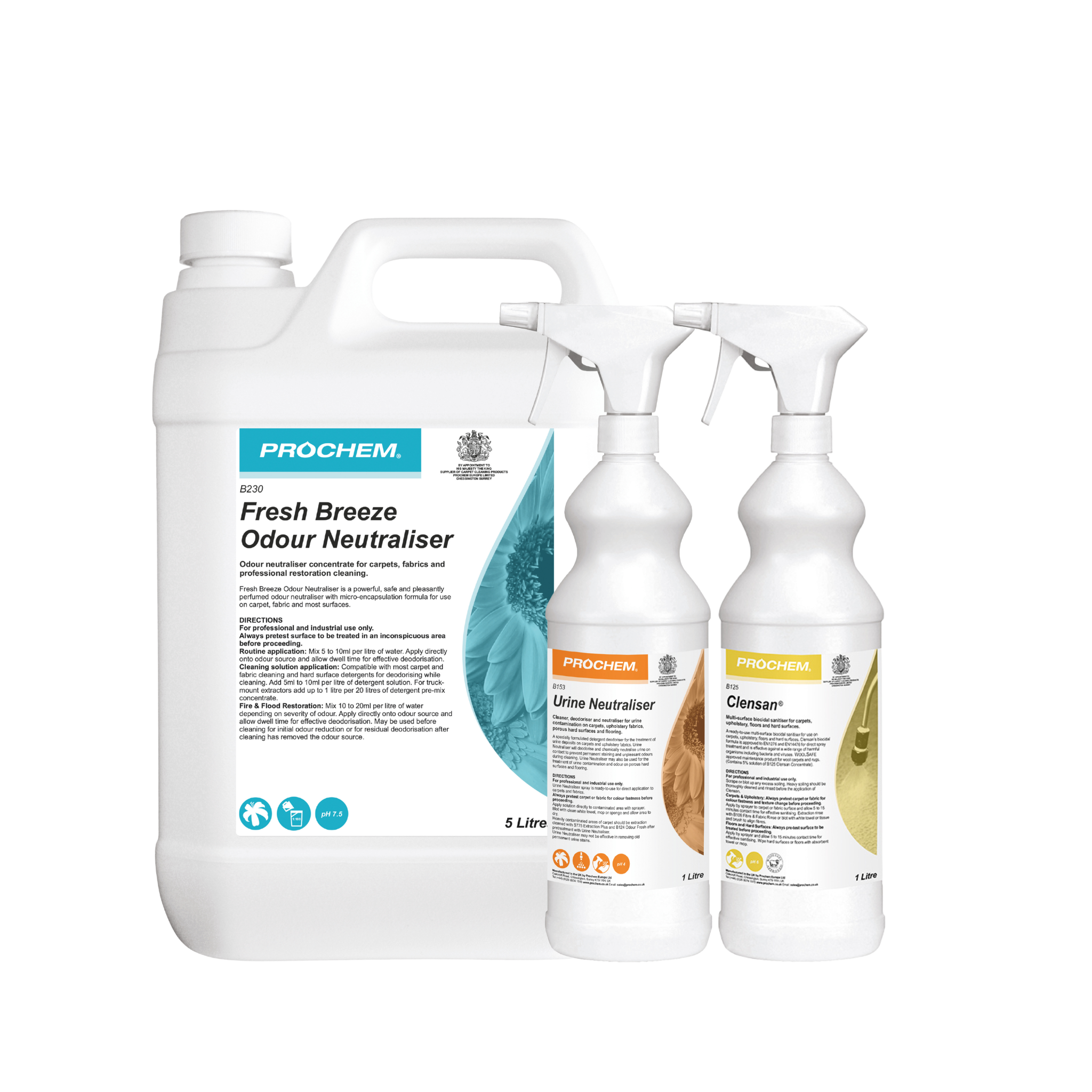 Prochem Pet Accident Cleaning Kit – Urine, Odour & Stain Removal Bundle
